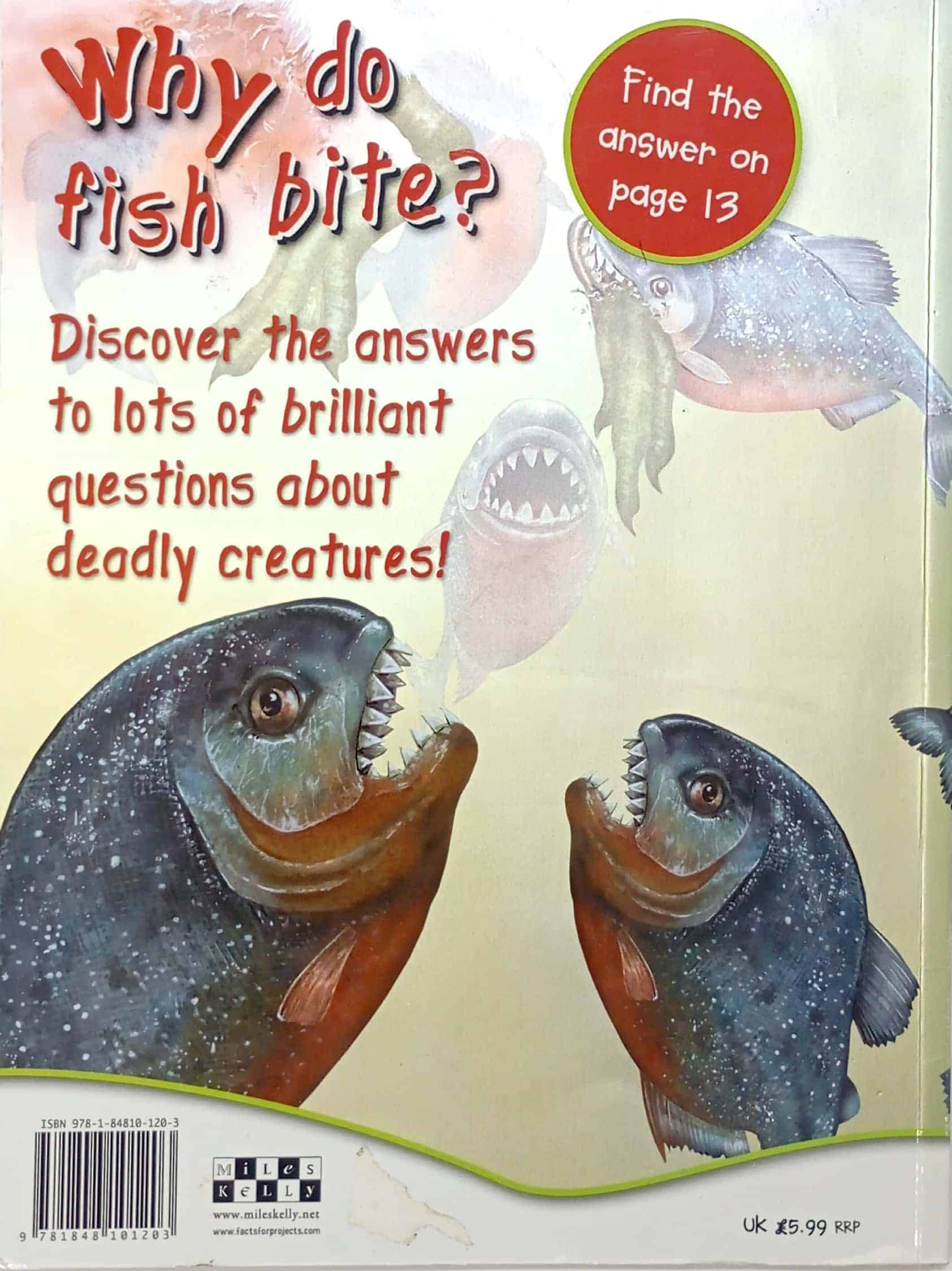 Deadly Creatures: Why Do Fish Bite? (First Questions And Answers) - Image 2